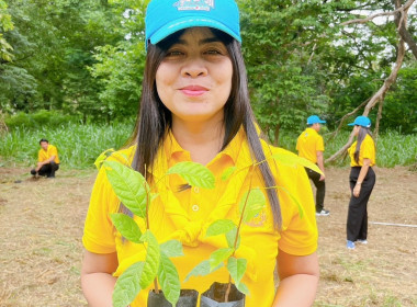 กิจกรรมปลูกต้นไม้เฉลิมพระเกียรติพระบาทสมเด็จพระเจ้าอยู่หัว ... พารามิเตอร์รูปภาพ 4